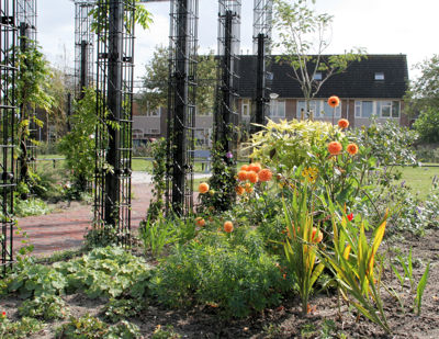 Foto 17 uit Opening Complex52