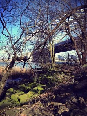 Foto 267 uit BRIENENOORDBRUG