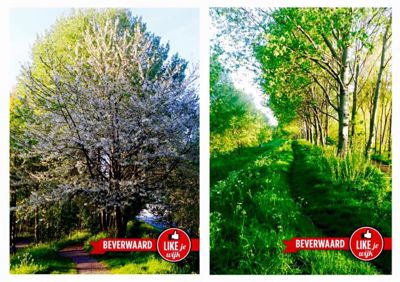 Foto 108 uit LIKEJEWIJK-2016