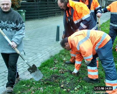 Foto 37 uit bloembollen planten