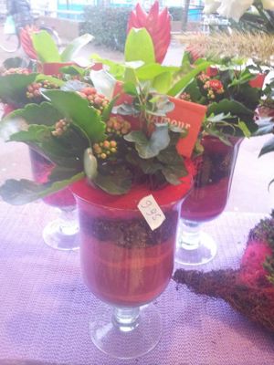 Foto 166 uit NeelyshaBloemen