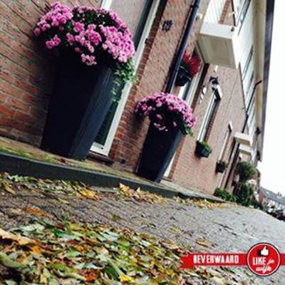 Foto 4 uit LIKEJEWIJK FOTO'S