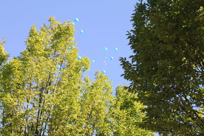 Foto 40 uit Ouderen4Daagse2018