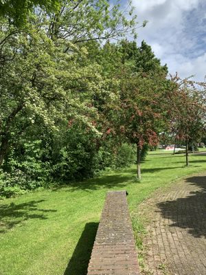 Foto 265 uit StratenBEVERWAARD