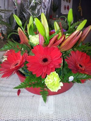 Foto 332 uit NeelyshaBloemen