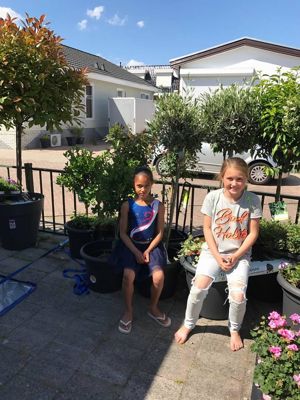 Foto 16 uit VrolijkSevenaerstraat