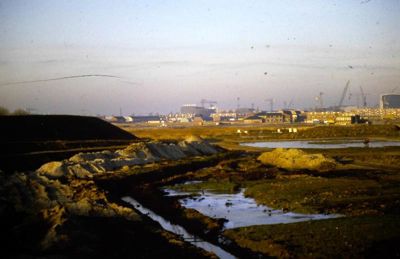 Foto 8 uit OUDE FOTO'S ELLY H