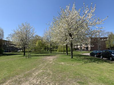 Foto 468 uit Rondje Beverwaard 2026