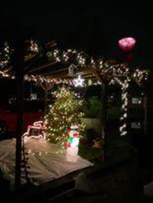 Foto 14 uit Pergola Versieren