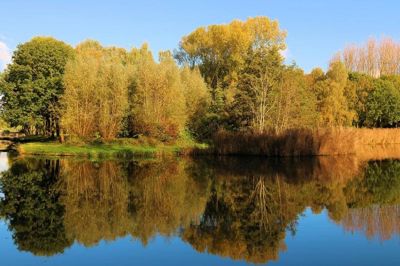 Foto 14 uit X-Herfst Verschillende jaren  2026