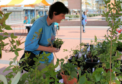 Foto 5 uit Tuin-Academie25-4_9