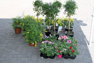 Foto 57 uit Schoonmaakdag20_4_11