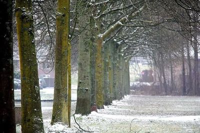 Foto 15 uit WinterIn Beverwaard