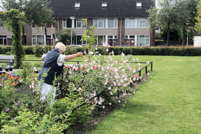 Foto 330 uit TropischeTuin 2017