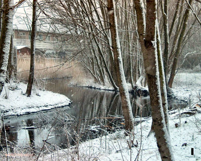 Foto 171 uit WinterIn Beverwaard