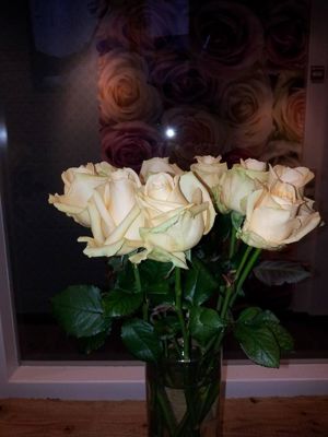 Foto 146 uit NeelyshaBloemen