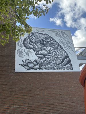 Foto 78 uit All Caps Muurschilderingen Beverwaard 2026