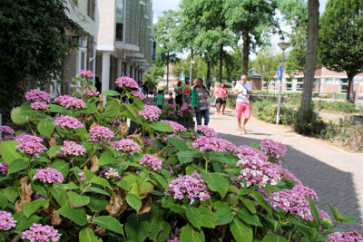 Foto 89 uit Keti-Koti 3_8_13