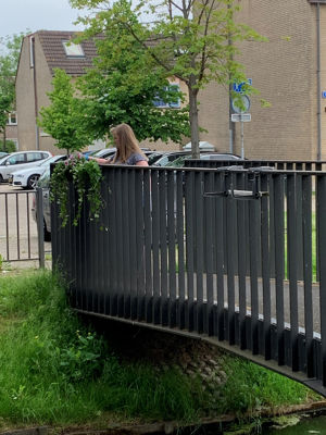 Foto 18 uit PlantenAlerdincksingel