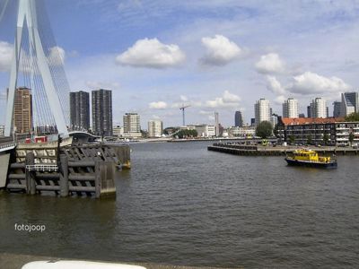 Foto 24 uit red bull air race r.dam