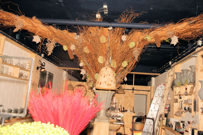 Foto 72 uit De Bloemenboetiek