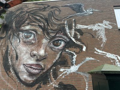 Foto 65 uit All Caps Muurschilderingen Beverwaard 2026