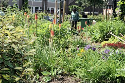 Foto 23 uit Tropische Tuin12_6