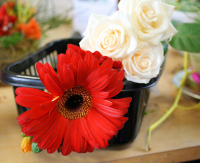 Foto 49 uit Rkregenboog25_3_09