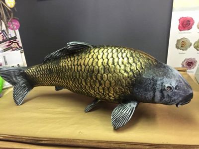 Foto 347 uit NeelyshaBloemen