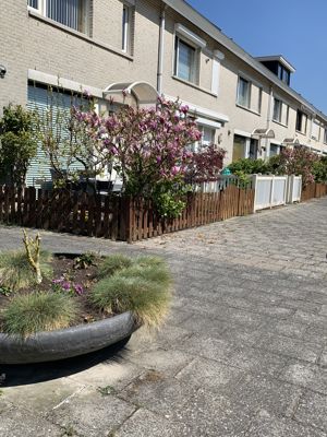 Foto 214 uit StratenBEVERWAARD