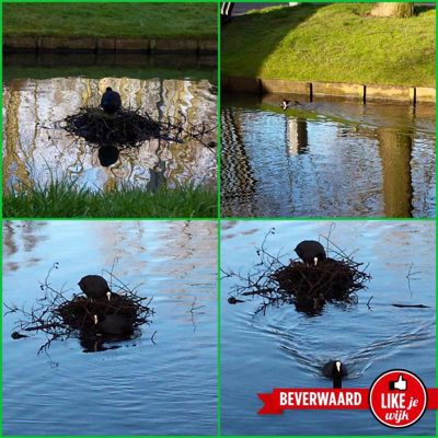 Foto 41 uit LIKEJEWIJK-2016