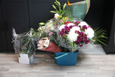 Foto 138 uit San4You Heropening