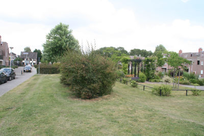 Foto 239 uit TropischeTuin 2017