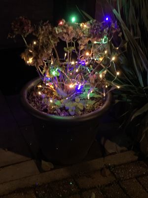 Foto 43 uit Kerst2020Beverwaard