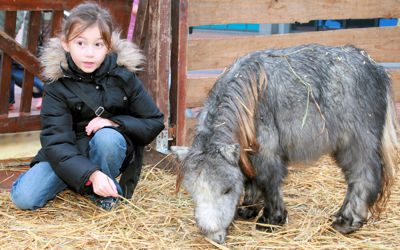 Foto 38 uit Sinterklaas 2009B.W