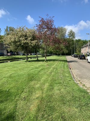 Foto 15 uit Rondje Beverwaard 2026