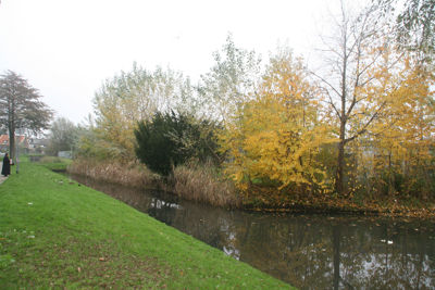 Foto 408 uit StratenBEVERWAARD