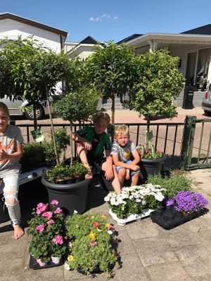 Foto 24 uit VrolijkSevenaerstraat