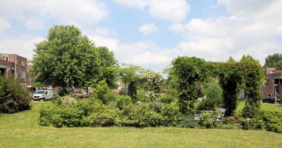 Foto 165 uit TropischeTuin 2017