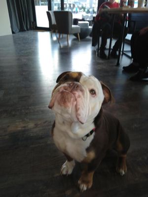 Foto 3 uit Doet Effe Mee Cafe