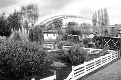 Foto 6 uit BRIENENOORDBRUG