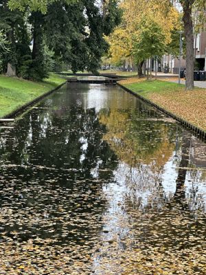 Foto 427 uit Rondje Beverwaard 2026