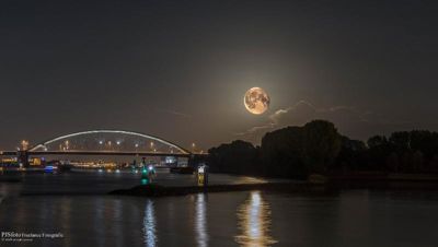 Foto 350 uit BRIENENOORDBRUG