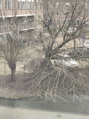Foto 2 uit Storm Schade18-1-18