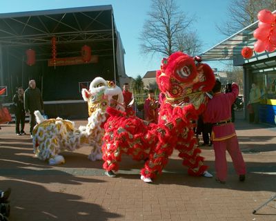 Foto 43 uit chineesnieuwjaar9_2