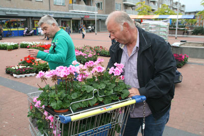 Foto 77 uit OpzoomerenPlantjes