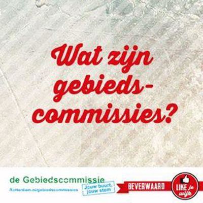 Foto 77 uit LIKEJEWIJK FOTO'S