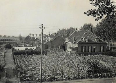 Foto 80 uit SloopEnOpbouwWIJK