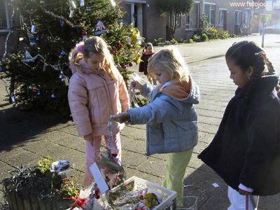 Foto 470 uit kerstdagen2005