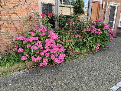 Foto 308 uit Rondje Beverwaard 2026